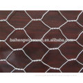 BH Best Sales Hexagonal Wire Mesh in China